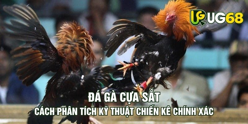 Tin tức