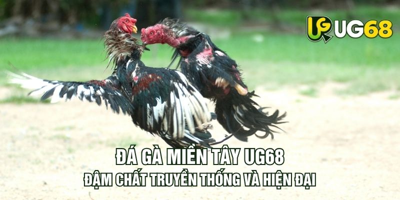Tin tức