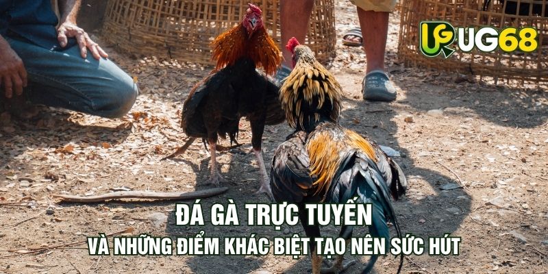 Tin tức