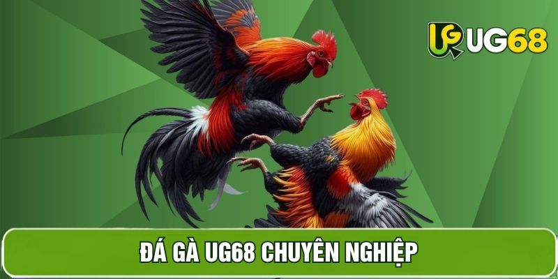 Hình ảnh sản phẩm đá gà