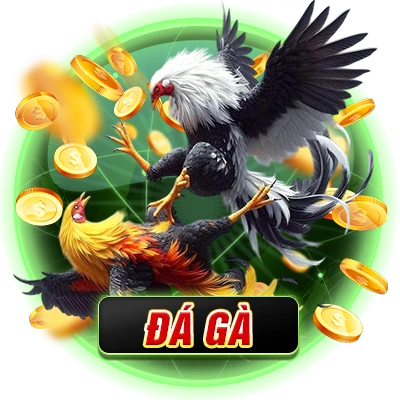 ĐÁ GÀ