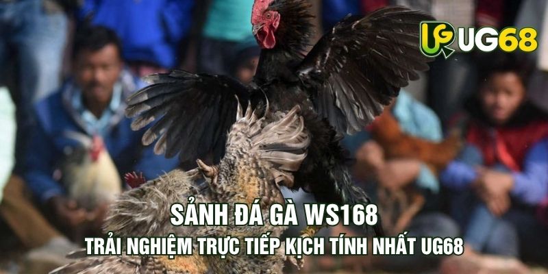 Tin tức
