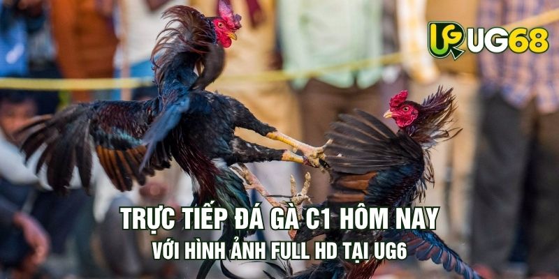 Tin tức